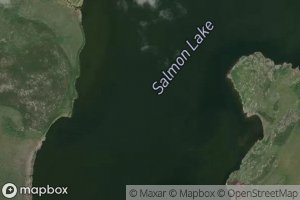 Salmon Lake