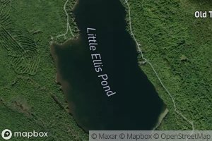 Little Ellis Pond
