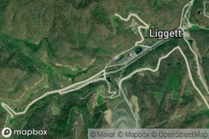 John Branch Left Catron