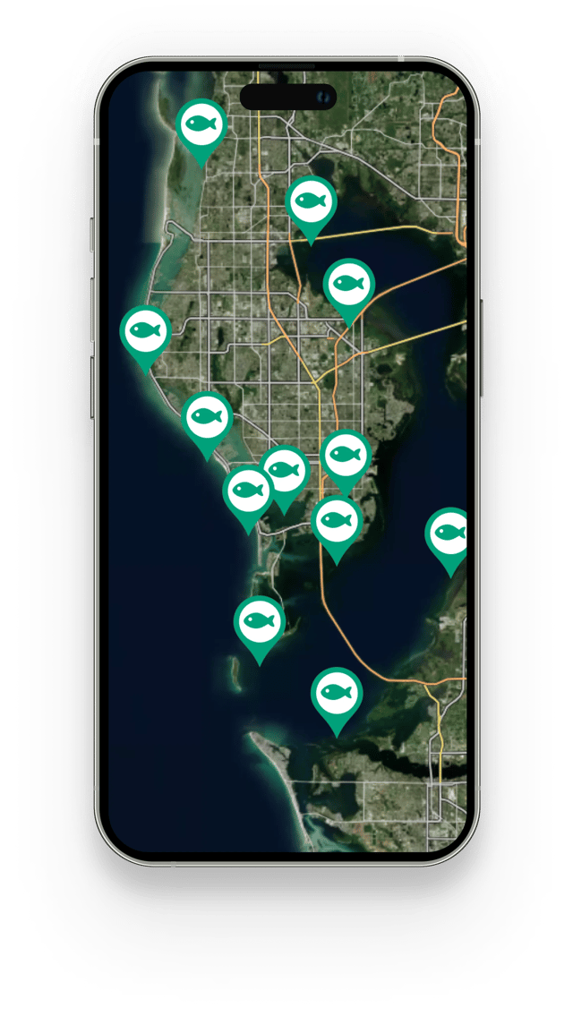 Mobile Discover New Local Fishing Spots Where Fish Are Being Caught feature card image