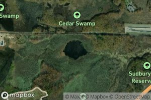 Cedar Swamp Pond