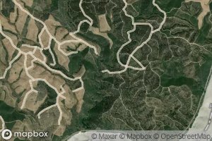 Ribeiro de Canefechal