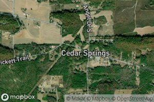 Cedar Spring