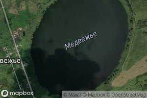 Ozero Medvezh'ye