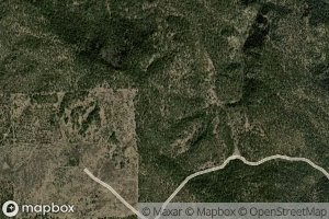 Section Twentyseven Spring