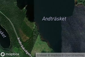 Andtrasket