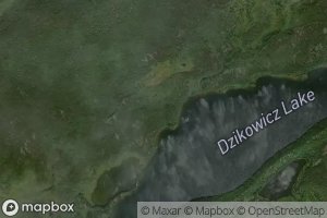 Dzikowicz Lake
