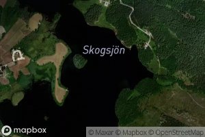 Skogsjon