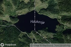 Haukesjo