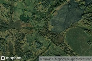 Bol'shaya Kamyshinka