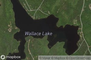 Wallace Lake