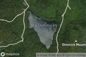 Big Dimmick Pond