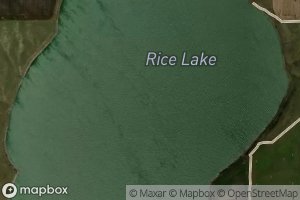 Rice Lake