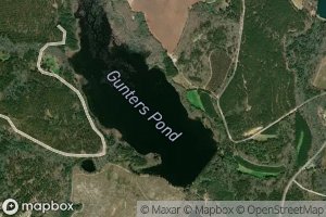 Gunters Pond