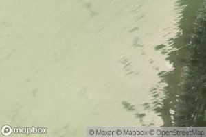 Laguna del Caimanero