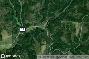 Little Blackjack Branch