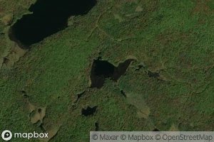 Little Lilly Pad Pond