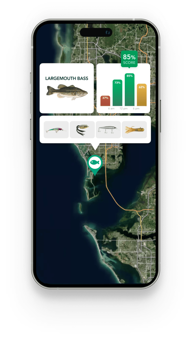 Mobile Choose The Right Time For Successful Fishing feature card image