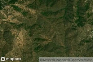 Barranca El Rincon Huisache