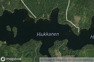 Hiukkanen
