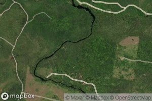 Black Rattle Stillwater