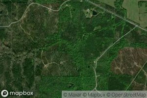 Falling Spring Branch