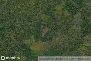 Uncle Charlie Spring