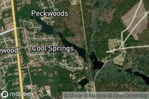 Cool Springs Lower Pond