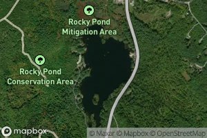 Rocky Pond