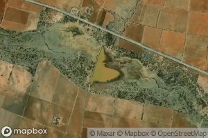 Adolfo Ruiz Cortines