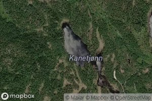 Kanetjonn