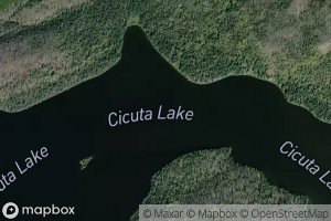 Cicuta Lake
