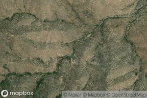 Bota Chiquita Spring