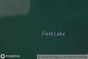 Field Lake