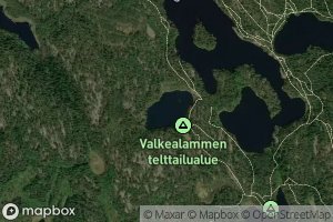 Valkealampi