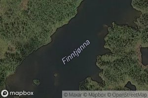 Finntjonna