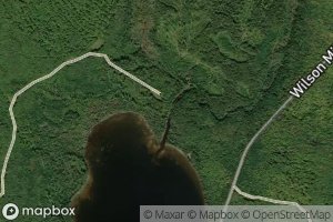 Deer Mountain Stream