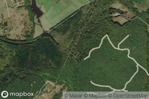 Chopping Bottom Branch