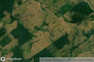 Braco Direito do Rio Branco