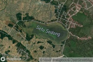 Setu Sedong