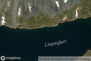 Livamjaure