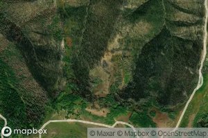 Mountain Lion Spring