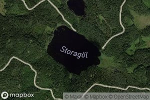Storagoel