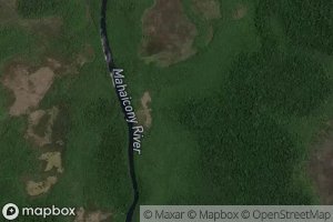 Bush Cow Long Corner