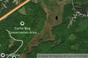 Curtis Bog