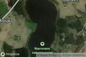 Naerevannet