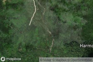 Butakio Totanggelodidi