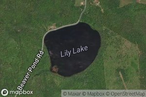 Lily Lake