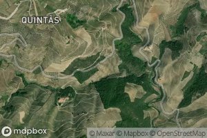 Ribeiro dos Salgueiros