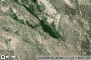 Willow Patch Springs